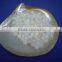 Bulk wholesale freshwater shell beads river shell pearl