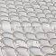 Galvanized Iron Wire Chain Link Fence