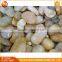 Wholesale Small Decoration Natural Small Pebble