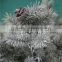 noble artificial christmas tree sales online hot sale fake christmas tree