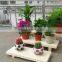 Nature Wooden Flower Stand