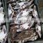 Frozen Blue Swimming Crab Whole round