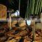 Super bright standing solar garden lamp,stainless steel garden LED light