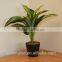 UK-Gardens Artificial Philodendron Xanadu Green Fern Office or House Indoor Plant In A Pot