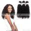 2017 hot sale afro kinky human hair indian hair salon chair hair product