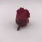 Customized Longlasting Preserved Rose Preserved Flowers for festival days