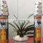 6m aluminum alloy WiFi signal telecommunication  ham radio antenna