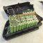 8.8Ah 36V Hailong Downtube Battery Lithium Ion cells with charger