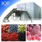 IQF tunnel freezer vegetable quick freezing equipment