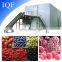 Quick freezing IQF Food Freezing Tomato Machine Processing