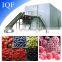 IQF tunnel freezer vegetable quick freezing equipment