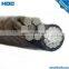 LV 2*16 mm2 AAC conductor Bare Overhard conductor ABC cable Douplex service cable