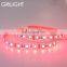Led christmas series pixel led RGB led 5050 24v led light