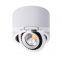 Simple Surface Mounted LED COB 5W Spotlight Lamp AC85V-265V Ceiling Spot Light White/Warm White Downlight