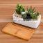 Wholesale Chaozhou Set Plant Humanoid Giant Succulent Planter Pot Ceramic 14 Inch