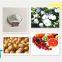 China supplier auxin plant growth regulator iaa 98%tc high purity