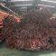 C44300/C12200/C71500/C71640/C68700 Copper Pipe with Favorable Price