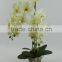 New Arrivals Butterfly Orchid Flower Artificial With Vase