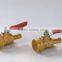 Demountable brass ball valve