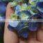 Colorful hot selling flower single stem blue hydrangea