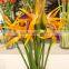 artificial plants, artificial banana trees,artificilal Bird of Paradise