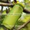 hot design tritan bottle single wall drinking plastic bottle