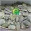 Form Pumpkin Seeds GWS (Grown Without Shell) Oil