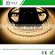 Indoor 12V Landscape SMD3528 LED Ribbon/Strip Lights
