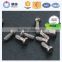 Custom design non-standard screw in china supplier