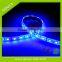 Shenzhen factory LED amusement lights smd5050 strip lighting 5m/reel