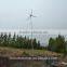 Self-support wind turbine wind generator with high output low noise cheap price--Hummer 3KW windkraftanlage eolico