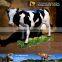 My Dino-C043 Playground artificial life-size cow statue