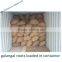Dried Galangal Roots