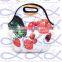 Fashion colorful neoprene lunch tote bag