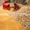 Factory supply superior quality electrical corn sheller