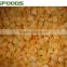 Chinese Frozen IQF apricot 2015 crop golden sun