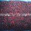 IQF mixed berries