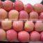 china fresh fuji apples