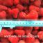 price for IQF new season top quality frozen strawberry