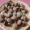 Golden oak mushroom lentinus edodes shiitake mushroom price