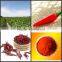 100% natural chili powder brands