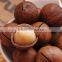 new type macadamia nut cracker machine/macadamia nut opening machine/macadamia nut tapping machine