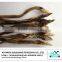Dried eel fish suppiler from China