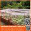 Chinese manufacture 20/30/40/50 mesh hdpe plastic agriculture greenhouse vegetable and fruit anti-insect net , nylon insect net