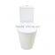 Two piece dual flush European style ceramic toilet
