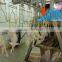 304 stainless steel chicken farm slaughtering machinery