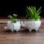 Indoor decor ceramic flower pots small white animal bonsai