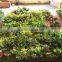 Home garden wedding decoration 200cm*100cm green original succulent with moss carpet grass wall E03 0501