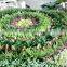 fake green plant wall manufacture decoration indoor fake flower plant wall