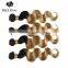 Black Rose Body Wave Two Tone Ombre Colored Brazilian Hair Weave Bundles